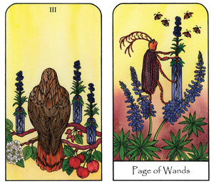 Tarot card titled 'Page of Wands' with an owl and a person climbing a tree, surrounded by plants and flowers.