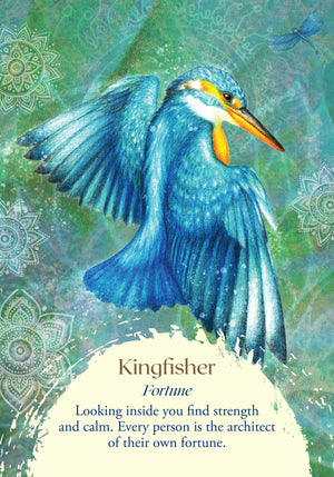 Oracle of the Birds sample card "Kingfisher: Fortune - Looking inside you find strength and calm. Every person is the architect of their own fortune."