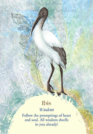 Oracle of the Birds sample card "Ibis: Wisdom - Follow the promptings of heart and soul. All wisdom dwells in you already!"