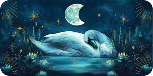 swan sleeping on water with a crescent moon and stars in the night sky