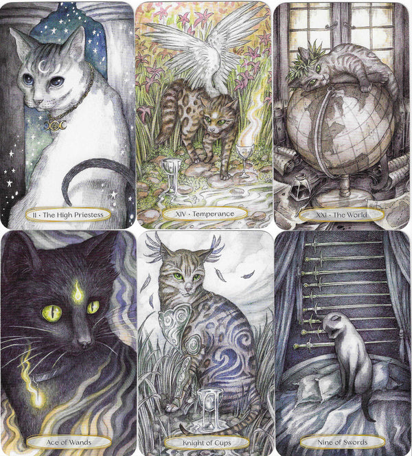Soul Cats Tarot - Dragonfly Art and Soul Metaphysical Shop