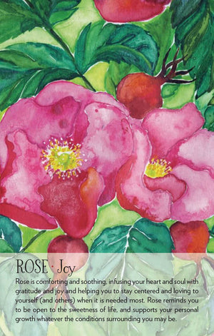 Colorful illustration of pink flowers with green leaves and text about rose symbolism.