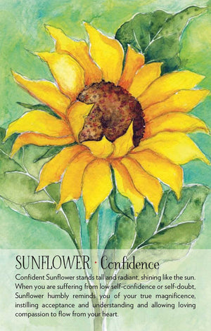 Illustration of a sunflower with a text overlay on a green background
