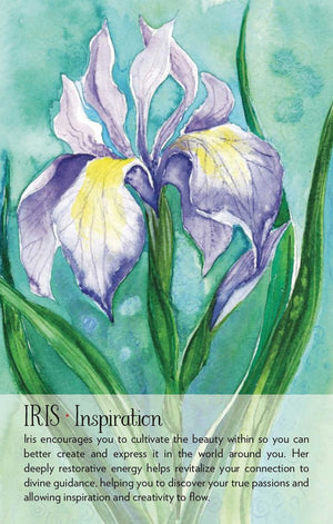 Watercolor illustration of an iris flower with descriptive text on a light blue background