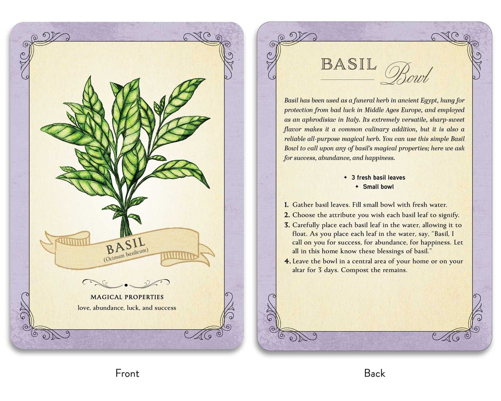 Card deck packaging for 'The Green Witch's Deck of Magical Herbalism' with herbal illustrations on a white background.