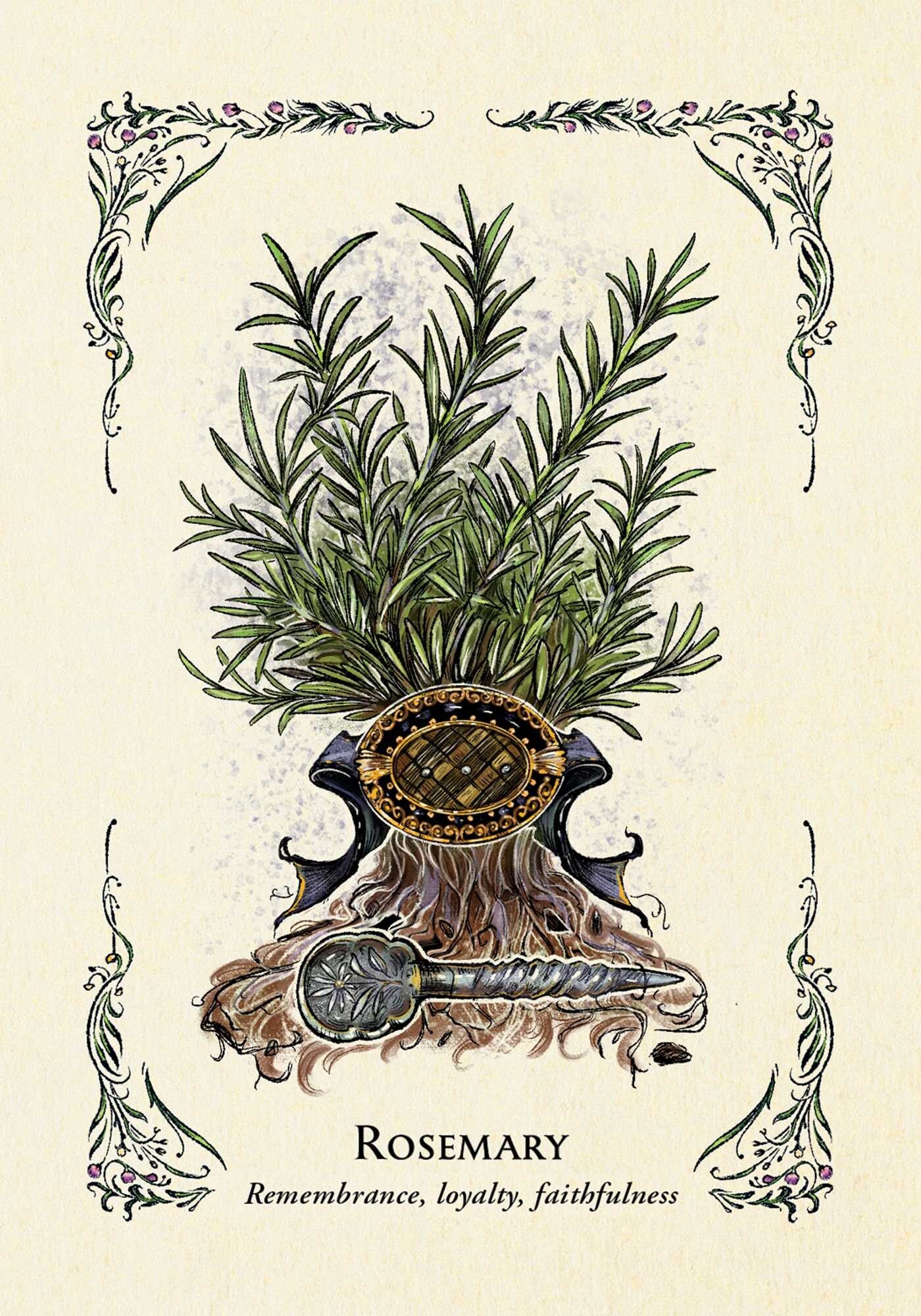 The Secret Oracle Of The Green Witch (Regular