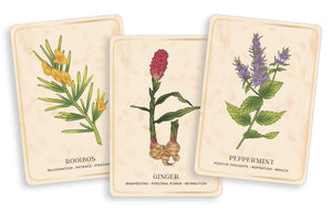 The Herbal Tea Magic for the Modern Witch Oracle Deck pictures of cards "rooibos: rejuvenation · patience..." "ginger: manifesting · personal power · retribution" "peppermint: positive thoughts · inspiration · wealth"