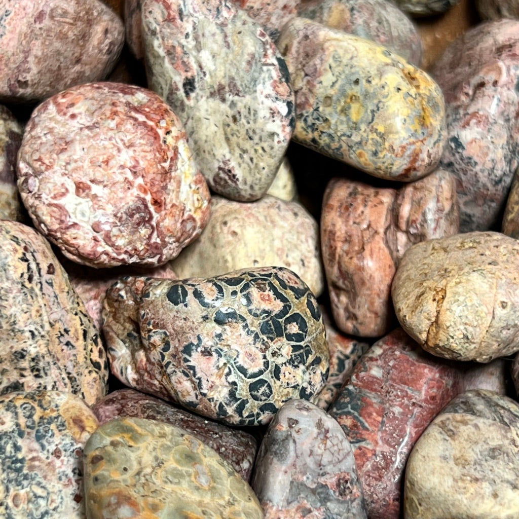 Leopardskin Jasper