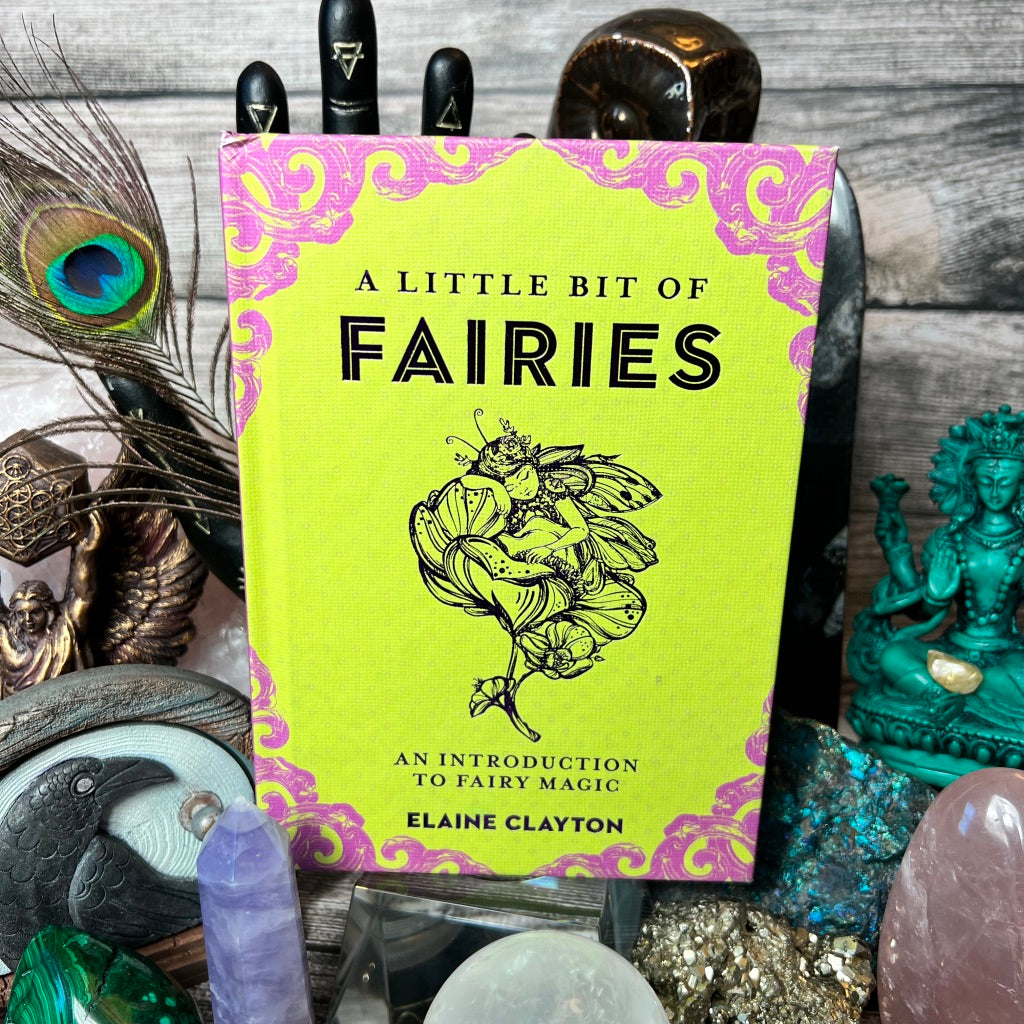 A book titled 'A Little Bit of Fairies: An Introduction to Fairy Magic' by Elaine Clayton, displayed among various mystical and nature-related items.