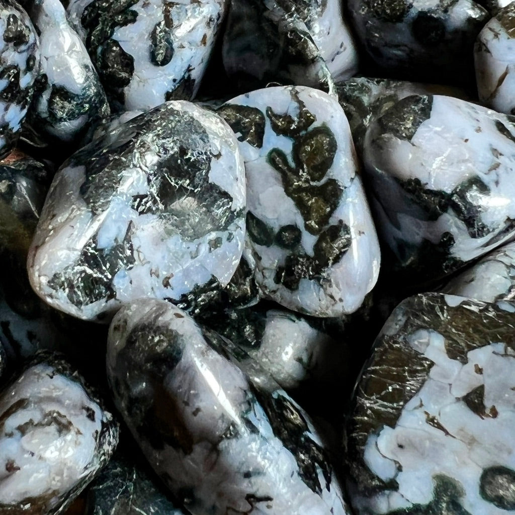 Mystic Merlinite (Indigo Gabbro)