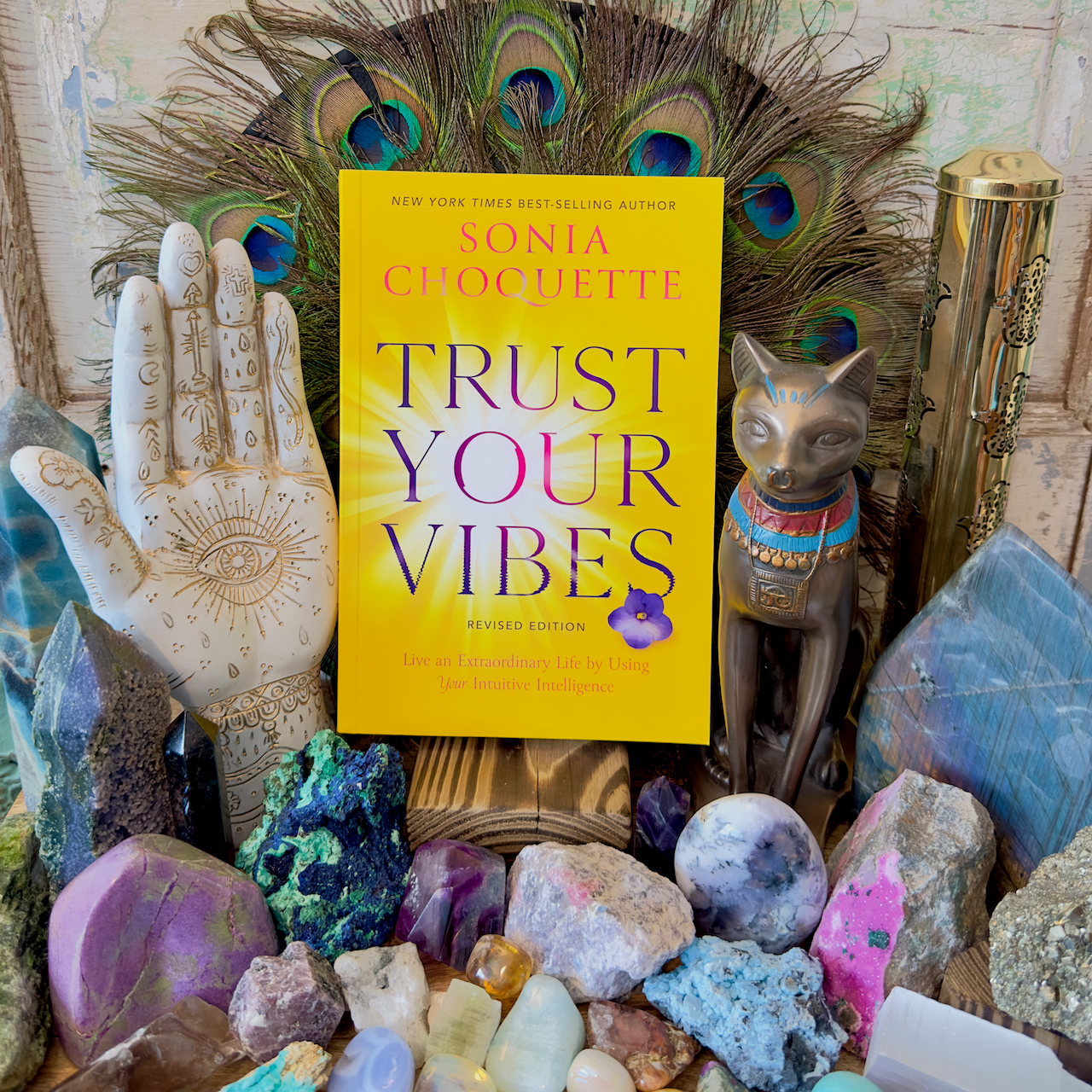 Trust Your Vibes [Revised Edition]: Live an Extraordinary Life by Using Your Intuitive Intelligence