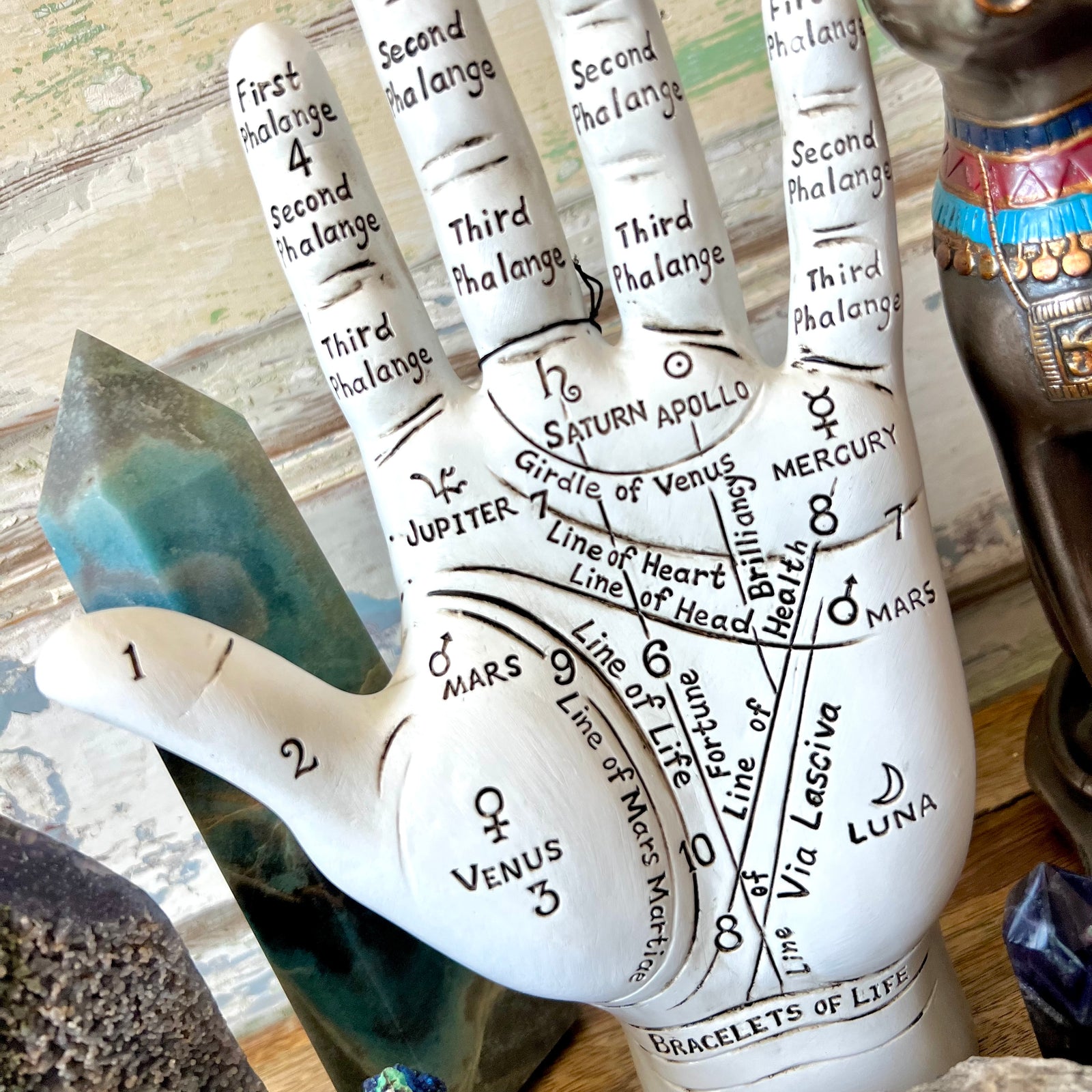Palmistry Hand