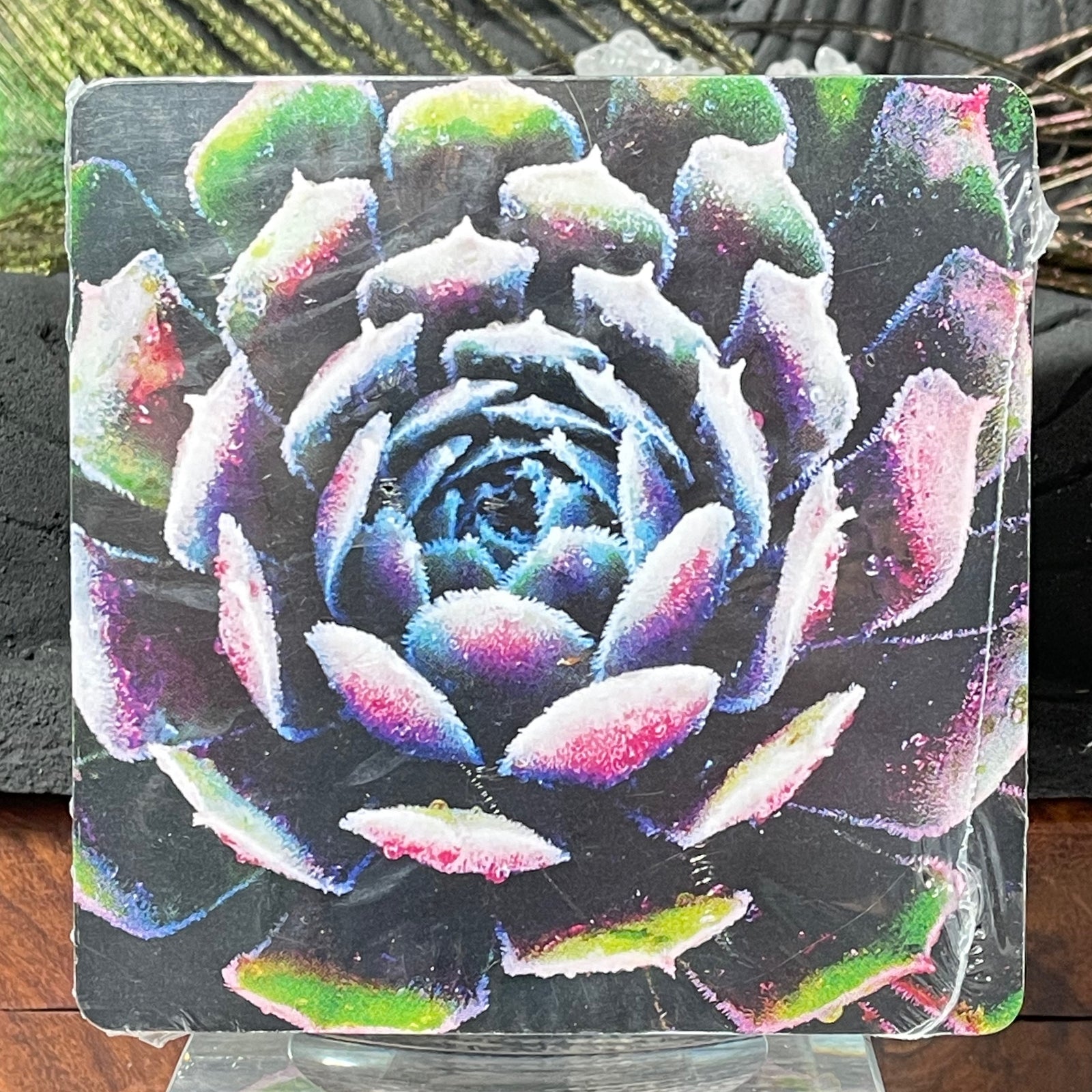 Dragonfly Soul Tribe Oracle Deck