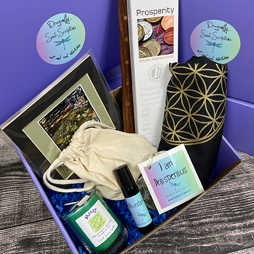 I am prosperous Soulscription Kit