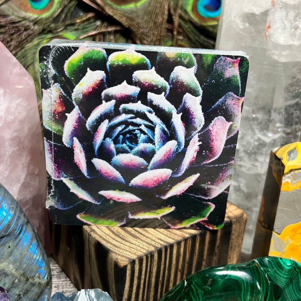 Dragonfly Soul Tribe Oracle Deck