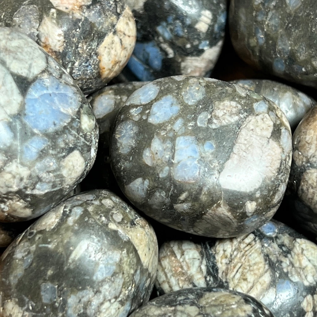 Galaxy Rhyolite [Que Sera]