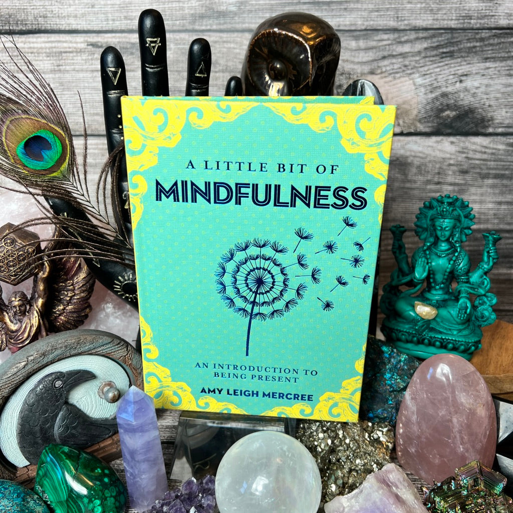 A Little Bit of Mindfulness: An Introduction to Being Present