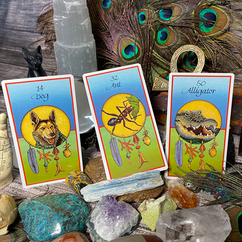 Medicine Cards Through the ways of animals