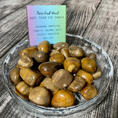 Petrified Wood Crystal