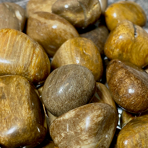 Petrified Wood Crystal