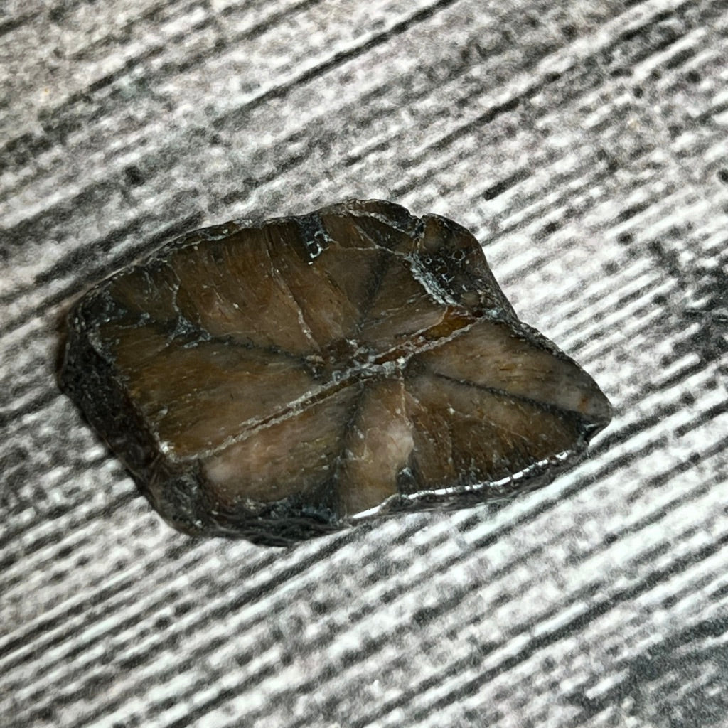 Chiastolite [Cross-Stone]