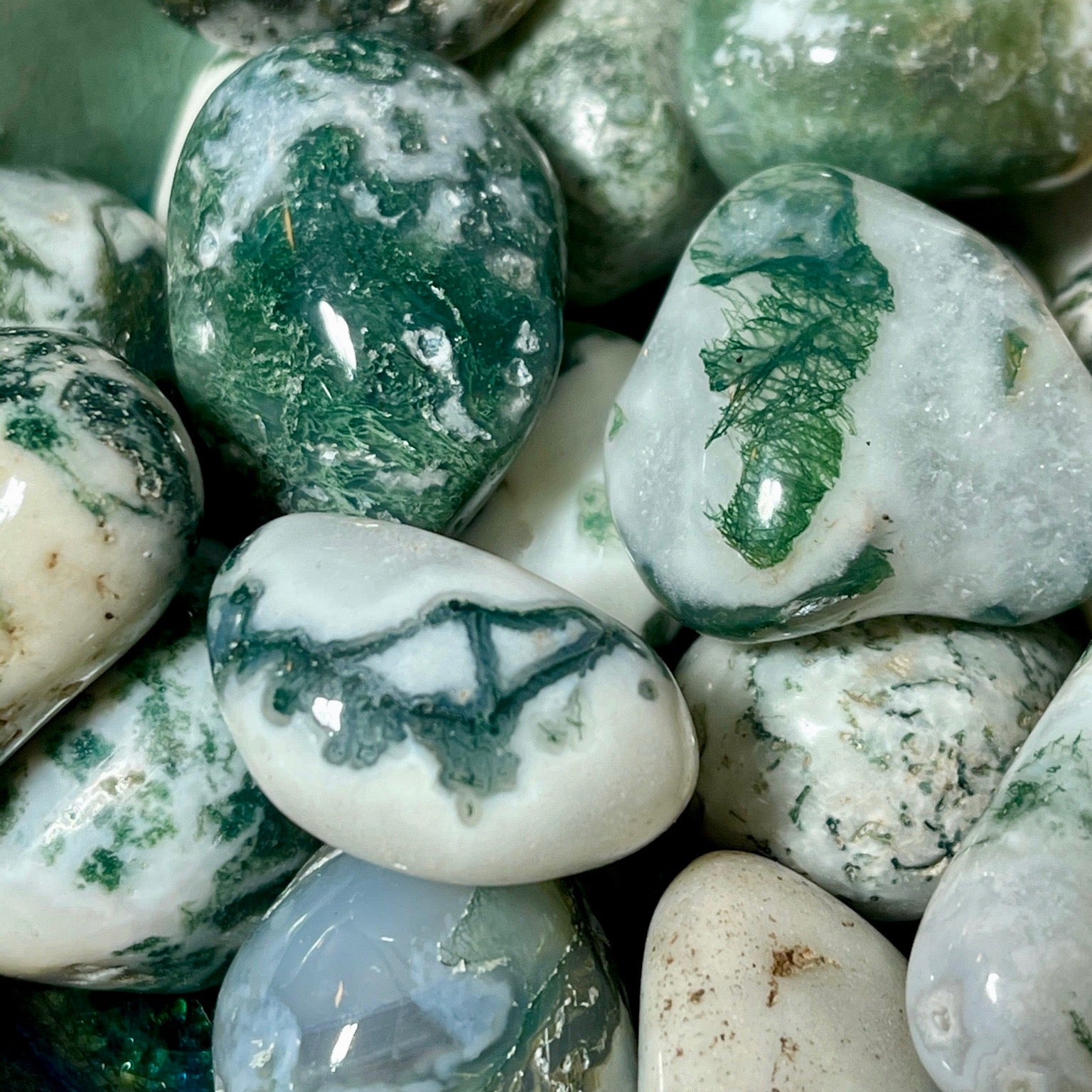 Tree Agate - Dragonfly Art and Soul Metaphysical Shop
